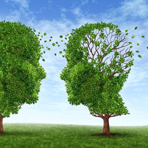 Living with alzheimers disease with two trees in the shape of a human head and brain as a symbol of the stress and effects on loved ones and caregivers by the loss of memory and cognitive intelligence function.