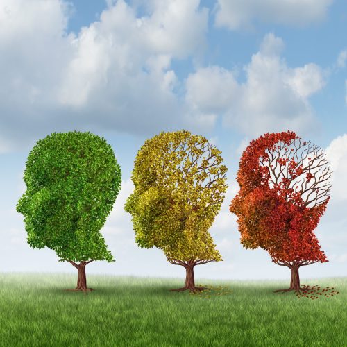 Brain aging and memory loss due to Dementia and Alzheimer's disease with the medical icon of a group of color changing autumn fall trees in the shape of a human head losing leaves as a loss of thoughts and intelligence function.