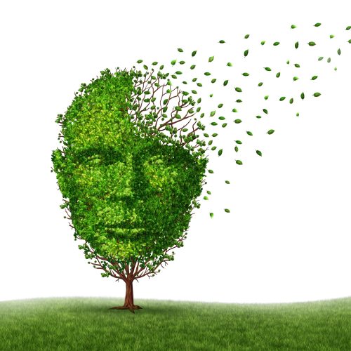 Dementia disease dealing with Alzheimer's illness as a medical icon of a tree in the shape of a front view human head and brain losing leaves as challenges in intelligence and memory loss due to injury or old age.