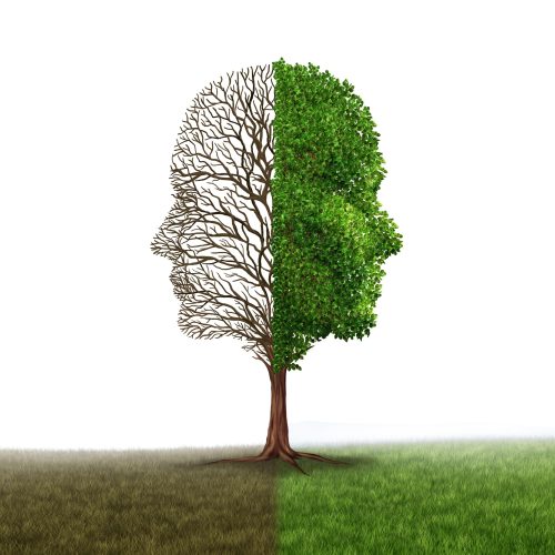 Mood Disorder Human emotion and mood disorder as a tree shaped as two human faces with one half empty branches and the opposite side full of leaves as a medical metaphor for psychological contrast in feelings on a white background.
